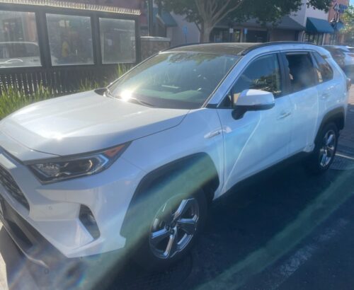 2020 Toyota Rav4 Driver Side Window Replacement due to break in